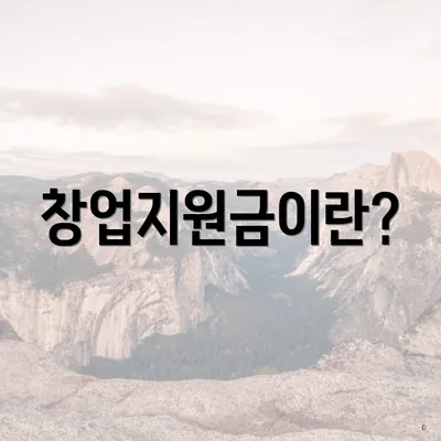 창업지원금이란?