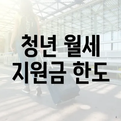 청년 월세 지원금 한도