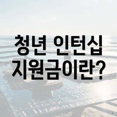 청년 인턴십 지원금이란?