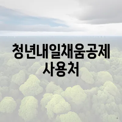 청년내일채움공제 사용처
