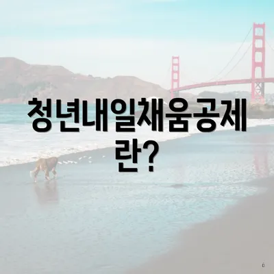 청년내일채움공제란?