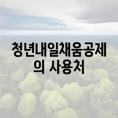 청년내일채움공제의 사용처