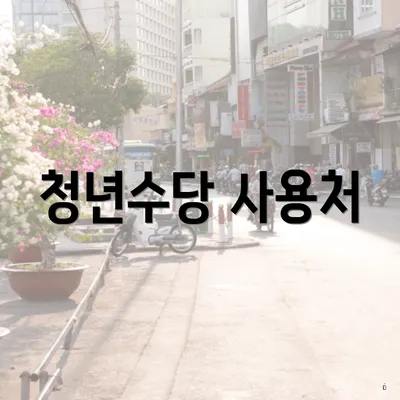 청년수당 사용처