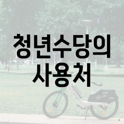 청년수당의 사용처