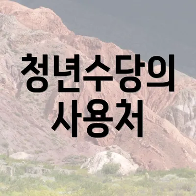 청년수당의 사용처