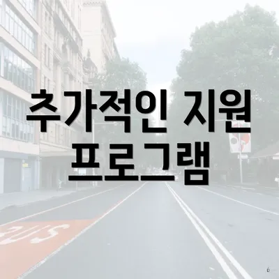 추가적인 지원 프로그램