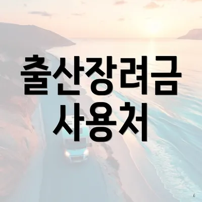 출산장려금 사용처