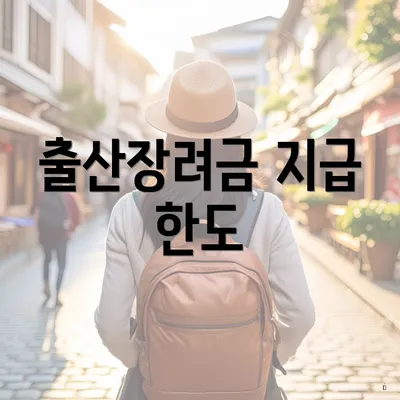 출산장려금 지급 한도