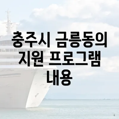 충주시 금릉동의 지원 프로그램 내용