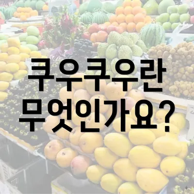 쿠우쿠우란 무엇인가요?