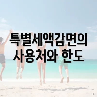 특별세액감면의 사용처와 한도