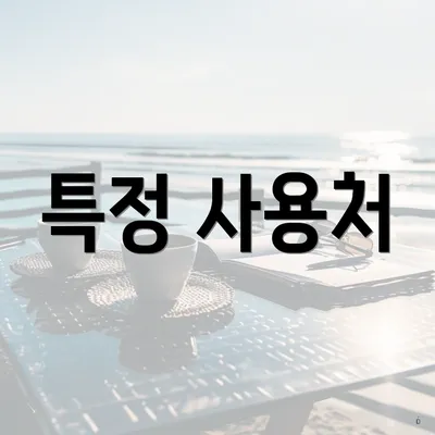 특정 사용처