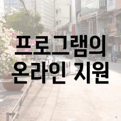 프로그램의 온라인 지원