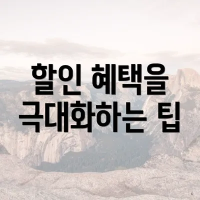 할인 혜택을 극대화하는 팁