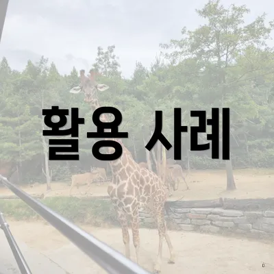 활용 사례