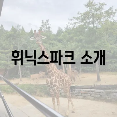 휘닉스파크 소개