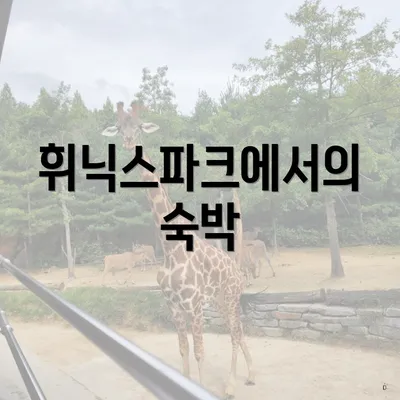 휘닉스파크에서의 숙박