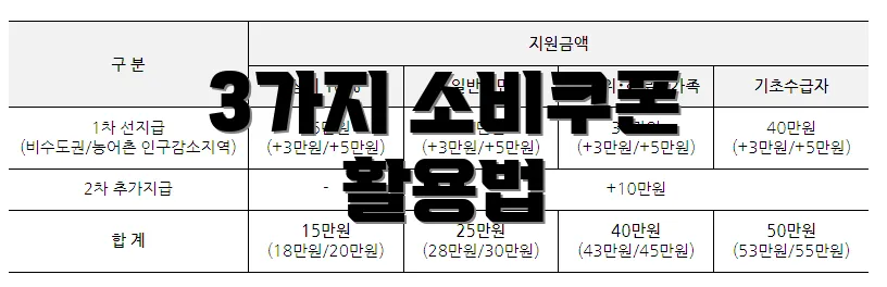 3가지 소비쿠폰 활용법