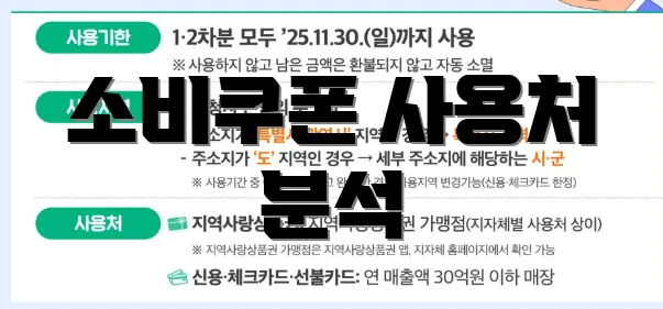 소비쿠폰 사용처 분석