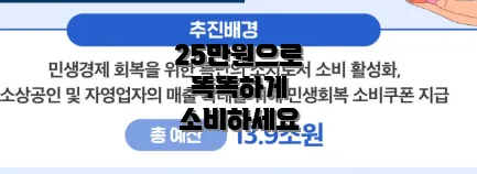 25만원으로 똑똑하게 소비하세요