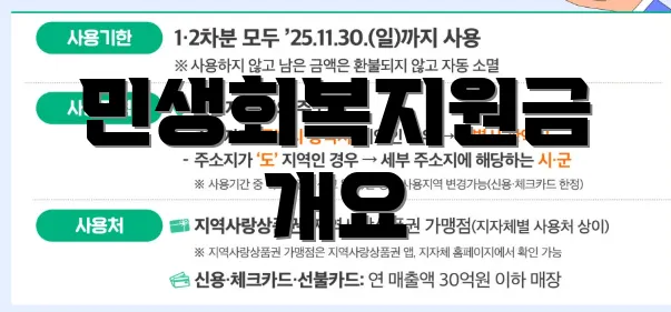 민생회복지원금 개요