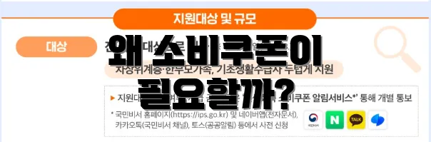 왜 소비쿠폰이 필요할까?
