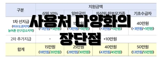 사용처 다양화의 장단점