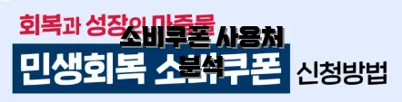 소비쿠폰 사용처 분석