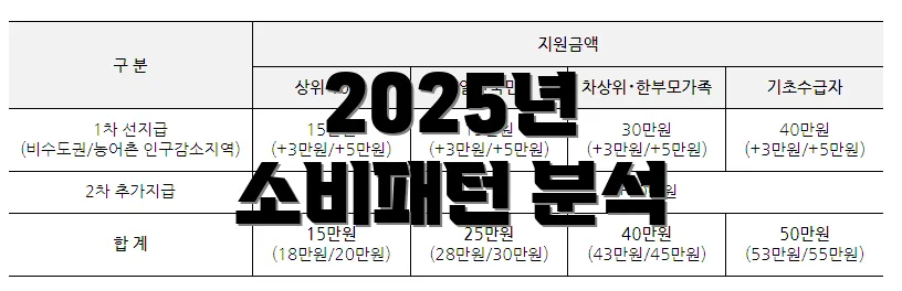 2025년 소비패턴 분석