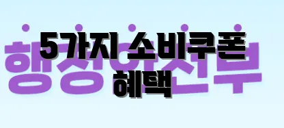 5가지 소비쿠폰 혜택