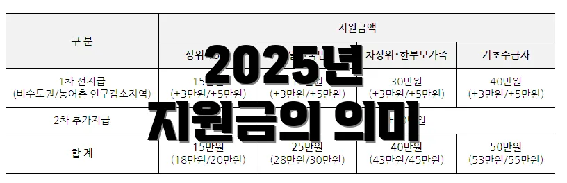 2025년 지원금의 의미