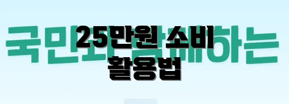 25만원 소비 활용법