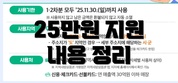 25만원 지원 내용 정리